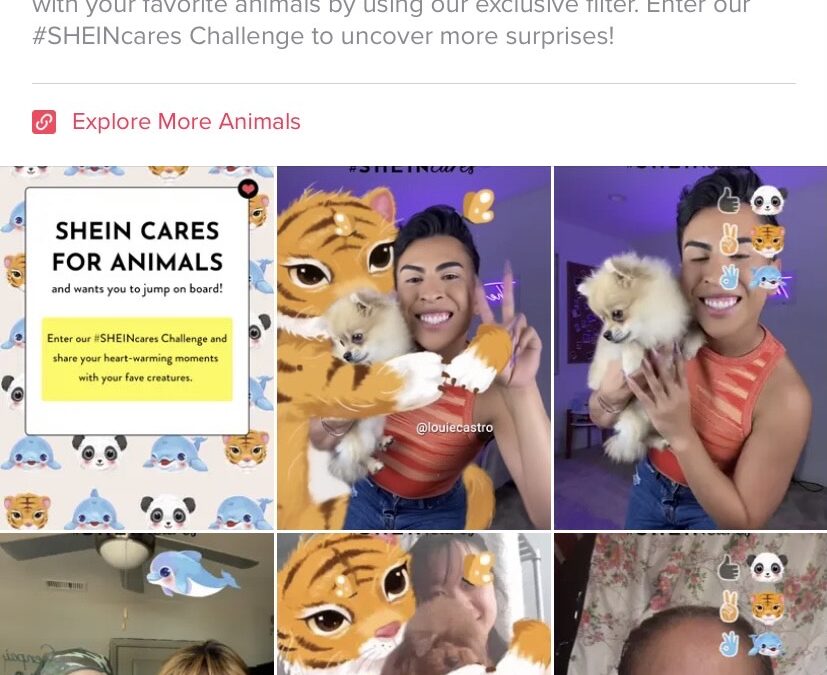 The SHEIN crisis is a lesson to brands targeting Gen Z